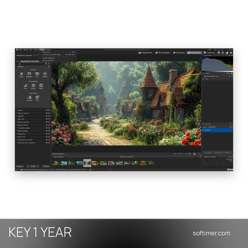 ACDSee Photo Studio Professional 2024 - CLÉ de licence 1 an - Windows