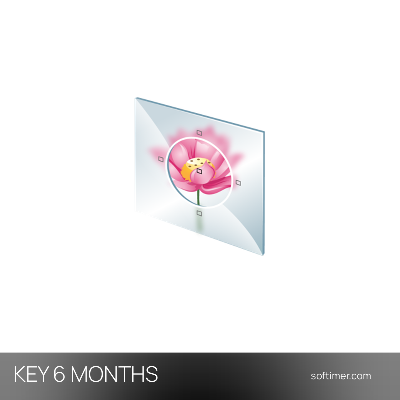 SoftOrbits Easy Photo Unblur 9.1 - 6 Months License KEY - Windows