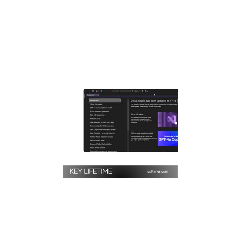 Microsoft Visual Studio Professional 2022 — пожизненный лицензионный ключ для Windows