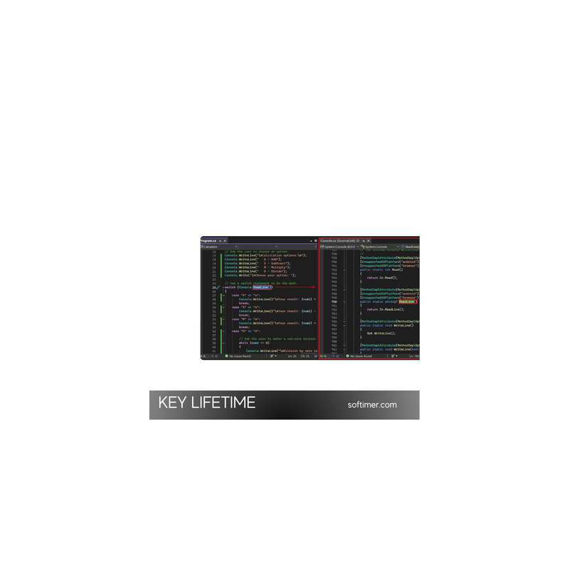Microsoft Visual Studio Professional 2026 — пожизненный лицензионный ключ