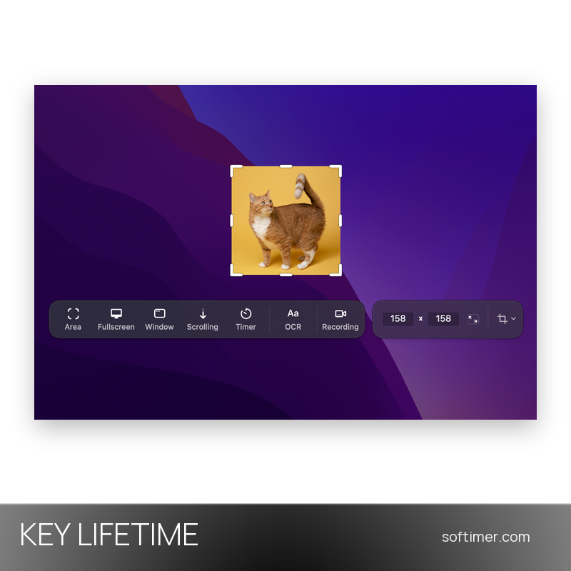 CleanShot X - Lifetime License KEY - Mac