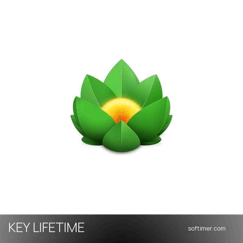 Versions 2 - Лицензионный ключ - Бессрочно - Mac