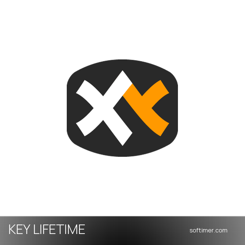 XYplorer Professional - Лицензионный ключ - Бессрочно - Windows