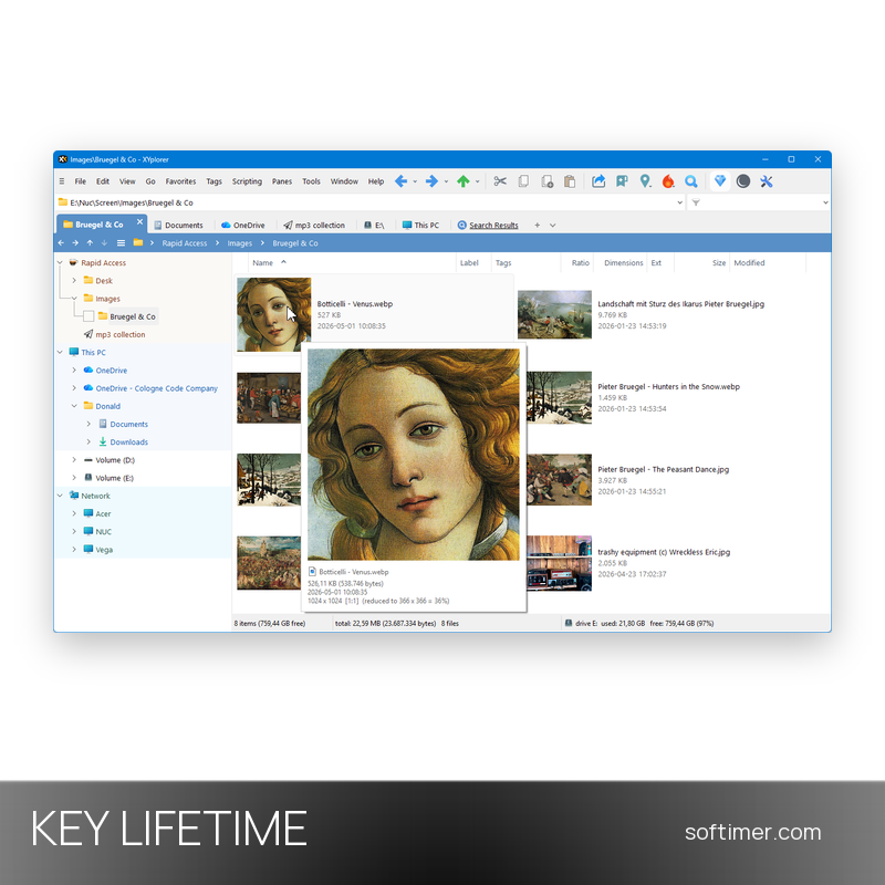 XYplorer Professional - CLÉ de licence - À vie - Windows