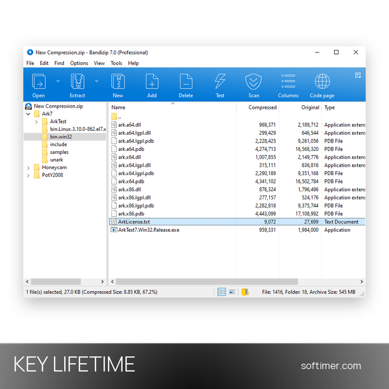 Bandizip Professional - CLÉ de licence - À vie - Windows