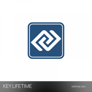 DMDE Professional - Лицензионный ключ - Бессрочно - Windows