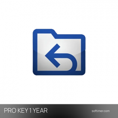 Ontrack EasyRecovery Pro -... Product