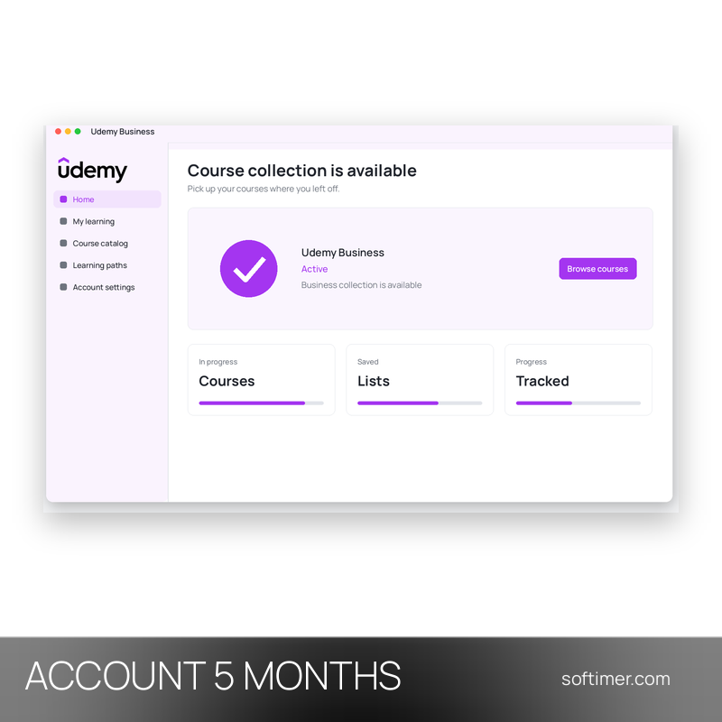 Udemy Business - 5 Monate - ACCOUNT