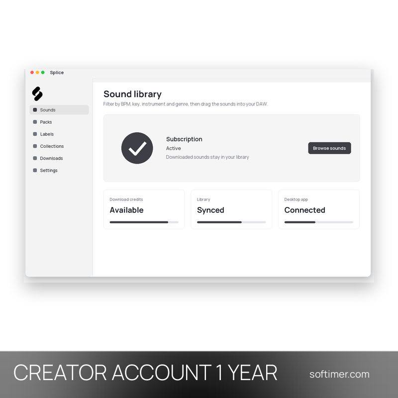 Splice Creator - 1 anno - ACCOUNT